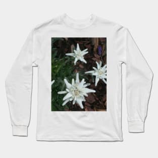 Edelweiss Long Sleeve T-Shirt